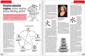 Životne dôležité orgány – Srdce, Slezina, Pľúca, Obličky, Pečeň
