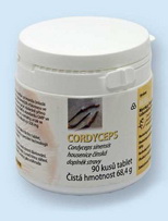 Imunostimulačné – metabolizmus podporujúce huby