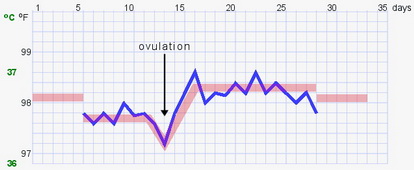 Menštruačný cyklus