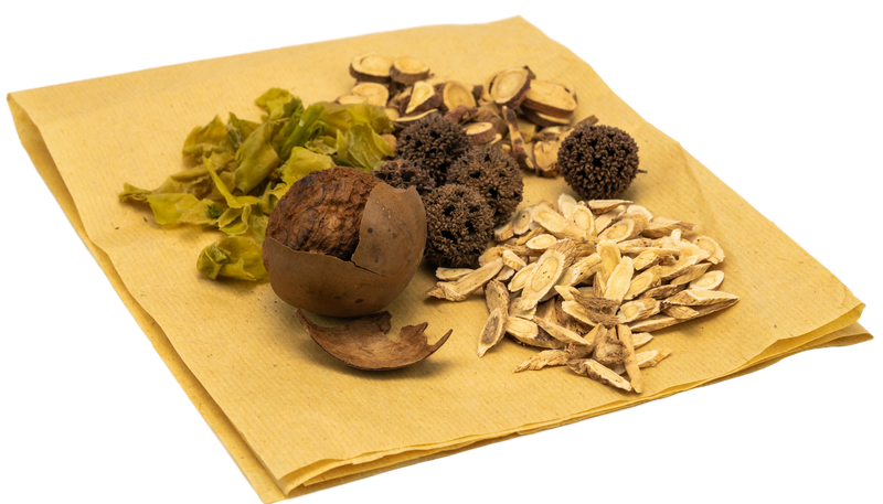 Fytoterapia – liečba bylinami