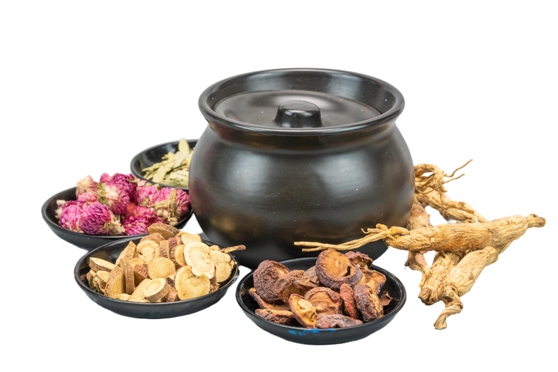 Využitie fytoterapie